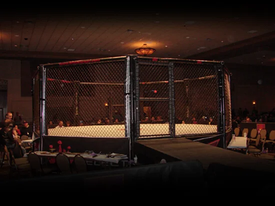 the-cellar-mixed-martial-arts